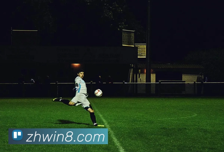 尊皇国际官网APP 封面图